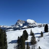   at Paradiso Pure Living Vegan Hotel in Kastelruth