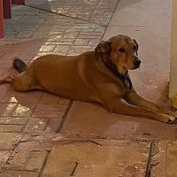 Lucho at Colores Y Sabores in Cozumel