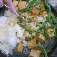 rice dish: tofu with spinach and peanut sauce at Thian's Thai Fusion in Ocean Shores