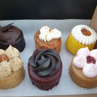 Choc ganache mud, Biscoff, Lemon & Passionfruit, Caramel Latte, Midnight red velvet, Jammy marshmallow at The Cake People in Keilor Park