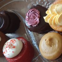 Amazing variety of cupcakes at The Cake People in Keilor Park