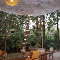  at Gratitude in Anjuna