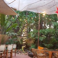  at Gratitude in Anjuna