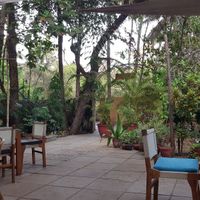  at Gratitude in Anjuna