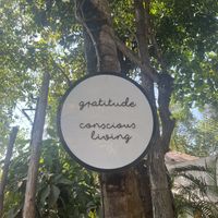   at Gratitude in Anjuna