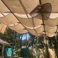   at Gratitude in Anjuna