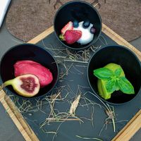 Tris di sorbetti vegetali. at Hotel Freina in Selva Di Val Gardena