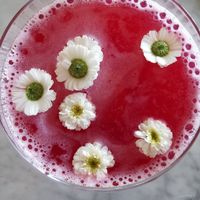 Cocktail at Hungry Angelina in Long Beach