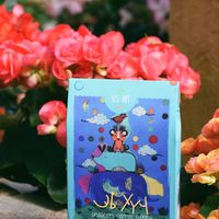 seaberry carrot cookie at Foody Healthy Bakery - Veg Art Naturals in Ulaanbaatar