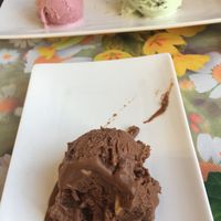   at Vegan Vacation in Bergen