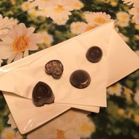 Truffles at Vegan Vacation in Bergen