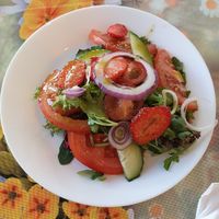 salat with each risotto  at Vegan Vacation in Bergen