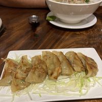 Gyozas  at Evergreen Vegetarian - DN Branch in Phnom Penh