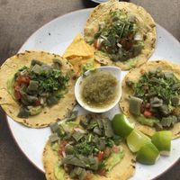 Vegan tacos 🌮 with cactus meat   at Kraftpaule in Stuttgart