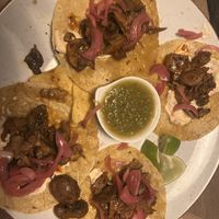   at Kraftpaule in Stuttgart