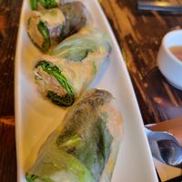 Spring roll at Huong Sen Lotus Vegetarian in Houston
