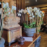 Inside at Huong Sen Lotus Vegetarian in Houston