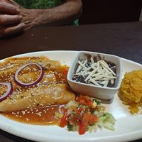 Amarillo Mole Enchiladas at Fiesta Oaxaca in Santa Fe