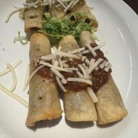  at Fiesta Oaxaca in Santa Fe