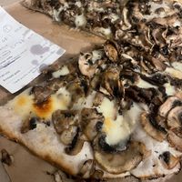 Cheese is soooo good  at Society Pizza Bar in Bondi Beach