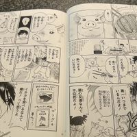 Manga about veganism, available on any table inside restaurant to read for free or you can buy to take home. at Koushikisabou 香色茶坊 in Tukuba