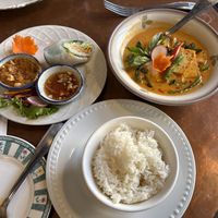 Curry and spring rolls with jasmine ricee  at Curry & Coco in Astoria