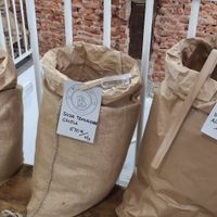 Texturized soy at El Granel De Corredera in Madrid