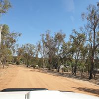 On the way at The Blue Wren Cafe in Coonabarabran
