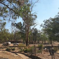 Camping area at The Blue Wren Cafe in Coonabarabran