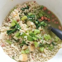 Thunder tea rice at Pine Tree Cafe 长春树 - Lucky Plaza in Central Singapore