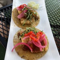 Crispy tofu tacos at Caracara in Dunedin