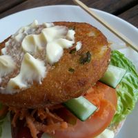 Sold to me as a "vegan schnitzel" but actually a supermarket bubble and squeak pattie containing dairy. Vegan mayo? Who knows? at Schnitz in Toowoomba