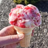 Cranberry & Bright (V, DF, GF) - orange sorbet w/ cranberry swirls & cranberry-glazed orange cookies at (402) Creamery in Lincoln