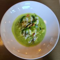 Green curry at Fuchsia - Barsha Heights in Dubai