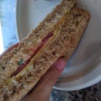 Tuno sandwich at Life The Vegan Drivethru in Cape Coral. at Life - The Vegan Drive Thru in Cape Coral