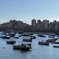   at Sidra By The Citadel in Alexandria