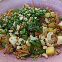 Fried farro bowl with quinoa at Farm and Craft in Scottsdale