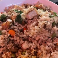 Com chien   at CO in Raleigh