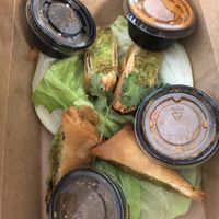 Fried vegan spring rolls at CO in Raleigh