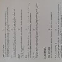  at Juli liebt Kaffee in Bremen