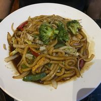 stir fried udon. bland    at Liquid Ginger in Gainesville