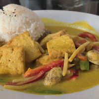 Thai coconut curry with tofu at Liquid Ginger in Gainesville