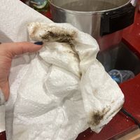Mold from the urn  at Ariela's Pizza & Kosher Kitchen in Las Vegas
