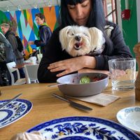 100% dog friendly 💚🌱 at The Veg Box Cafe - Canterbury in Canterbury