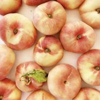 Their paraguayos are the best I’ve had 😋  at Agricultura Vedica Maharishi in Nerja