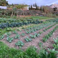2 at Agricultura Vedica Maharishi in Nerja