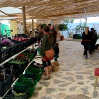 8 at Agricultura Vedica Maharishi in Nerja