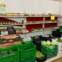 9 at Agricultura Vedica Maharishi in Nerja