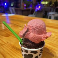chocolate and raspberry (small)   at Gelato 101 in Encinitas