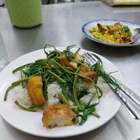 Mimosa with rice and tofu at Jay Oh Vegetarian in Bangkok